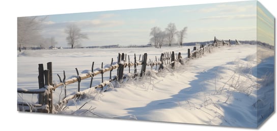 Obraz 40x20cm Spokój Śnieżnej Krainy Inna marka