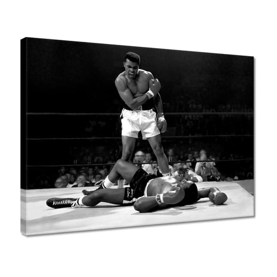 Obraz 40x30cm Muhammad Ali Bokser ZeSmakiem