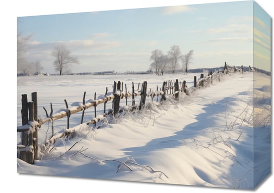 Obraz 40x30cm Spokój Śnieżnej Krainy Inna marka