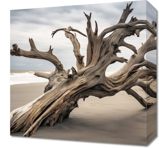 Obraz 40x40cm Wieczność Zaklęta w Drzewie Inna marka