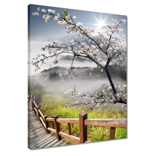 Obraz 40x50cm Japonia kwitnąca wiśnia ZeSmakiem