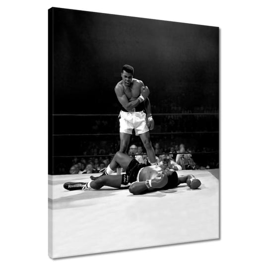 Obraz 40x50cm Muhammad Ali Bokser ZeSmakiem