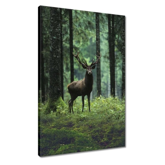 Obraz 40x60cm Jeleń w lesie ZeSmakiem