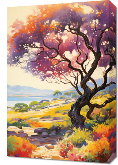 Obraz 40x60cm Kolorowy Zmierzch nad Doliną Inna marka