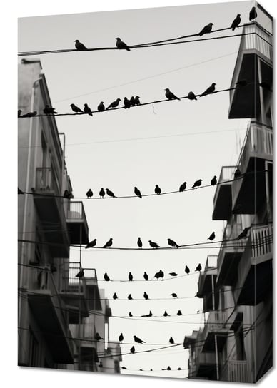 Obraz 40x60cm Miejski Motyw z Ptakami Inna marka