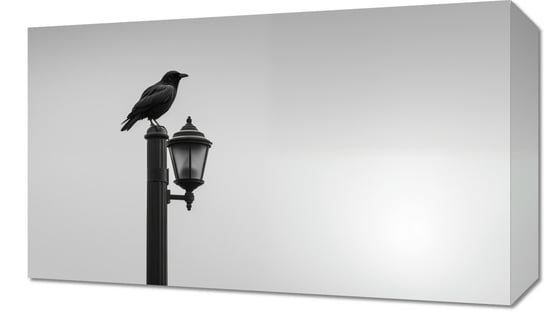 Obraz 50x30cm Samotny Postój Kruka Inna marka