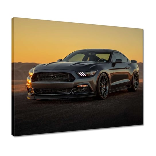 Obraz 50x40cm Ford Mustang made in USA ZeSmakiem