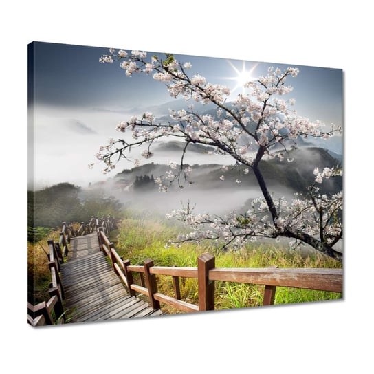 Obraz 50x40cm Japonia kwitnąca wiśnia ZeSmakiem