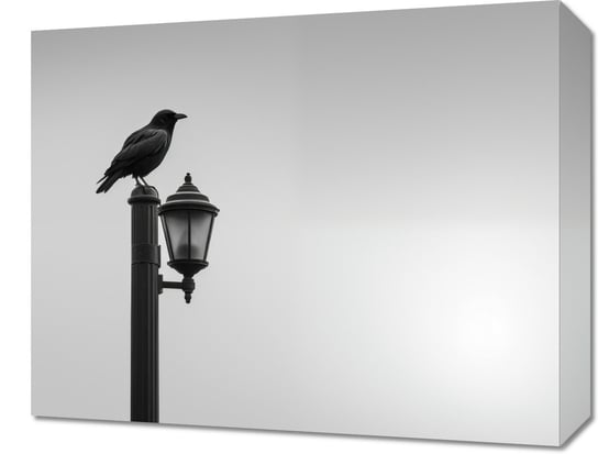 Obraz 50x40cm Samotny Postój Kruka Inna marka