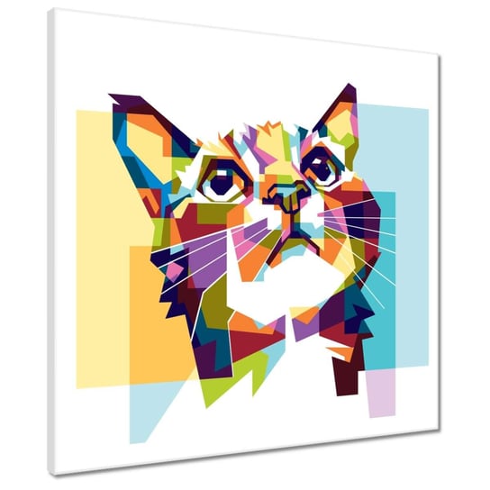 Obraz 50x50cm Abstrakcyjny kot ZeSmakiem