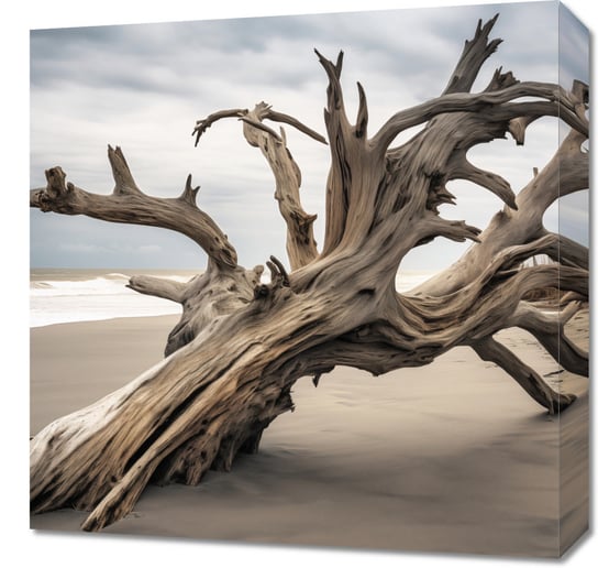 Obraz 50x50cm Wieczność Zaklęta w Drzewie Inna marka