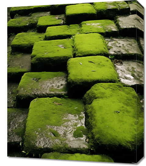 Obraz 50x60cm Zielona Mozaika Inna marka