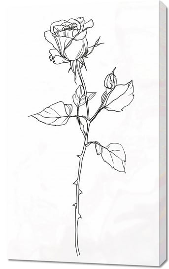 Obraz 60x100cm Kontur Róży Inna marka