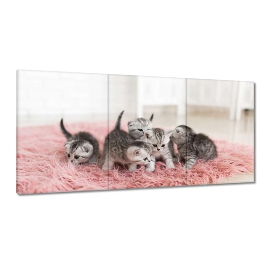 Obraz 60x30cm Pięć małych kotków ZeSmakiem