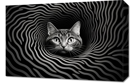 Obraz 60x40cm Hipnotyzujący Koci Wzrok Zakito Posters