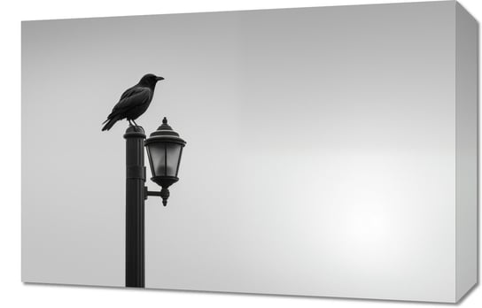 Obraz 60x40cm Samotny Postój Kruka Inna marka