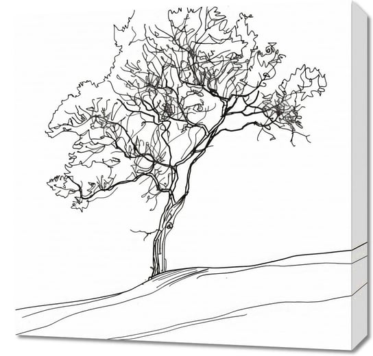 Obraz 60x60cm Drzewo w Zarysie Inna marka