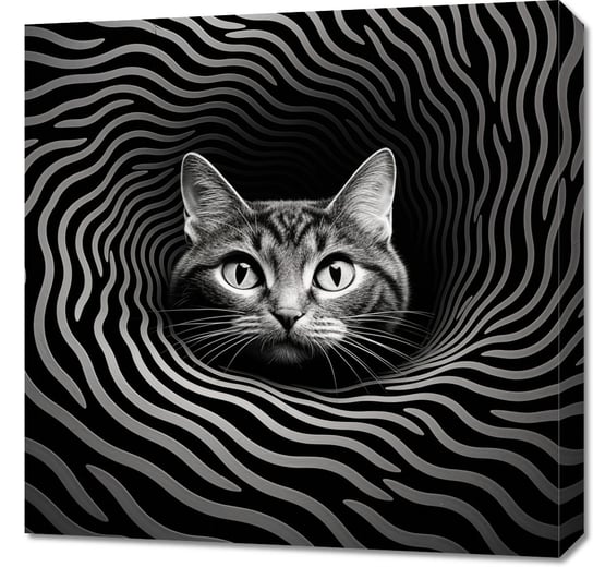 Obraz 60x60cm Hipnotyzujący Koci Wzrok Zakito Posters