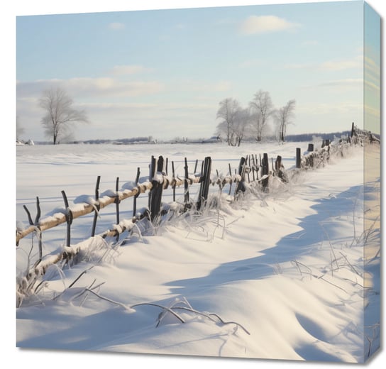Obraz 60x60cm Spokój Śnieżnej Krainy Inna marka