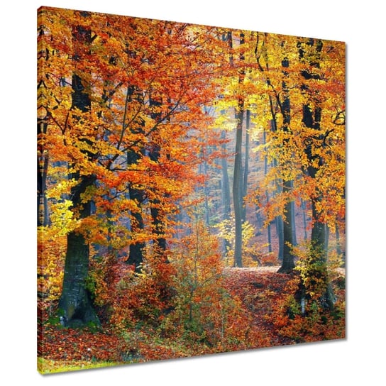 Obraz 60x60cm Złota jesień - ZeSmakiem | Sklep EMPIK.COM