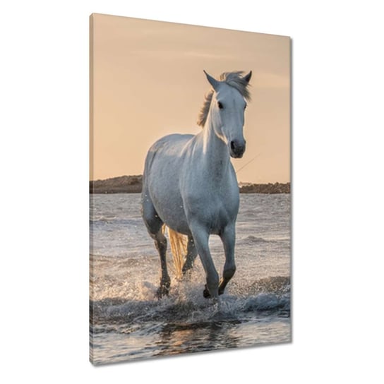 Obraz 60x90cm Dzikie konie ZeSmakiem