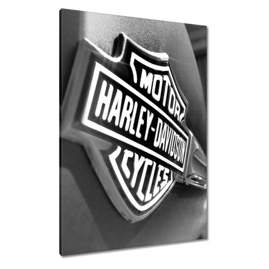 Obraz 70x100cm Logo Harley Davidson ZeSmakiem