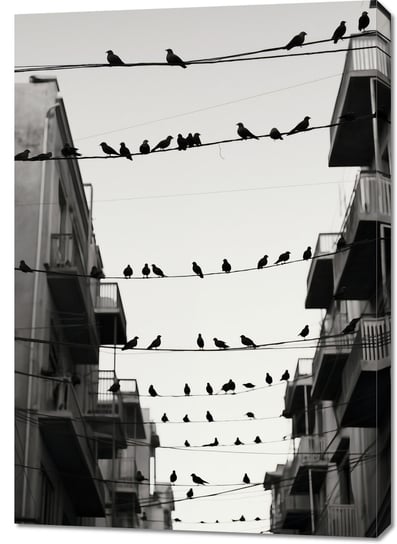Obraz 70x100cm Miejski Motyw z Ptakami Inna marka