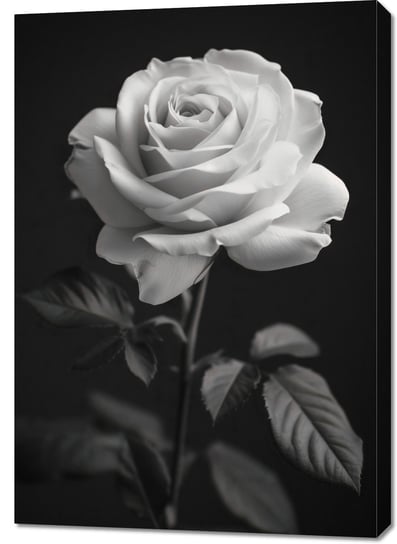 Obraz 70x100cm Płatki Róż Inna marka
