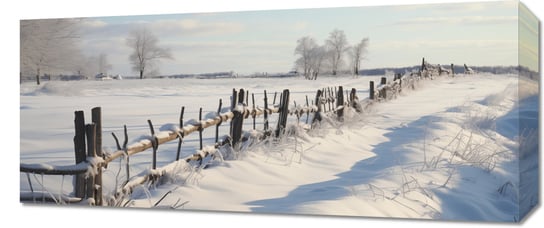 Obraz 70x30cm Spokój Śnieżnej Krainy Inna marka