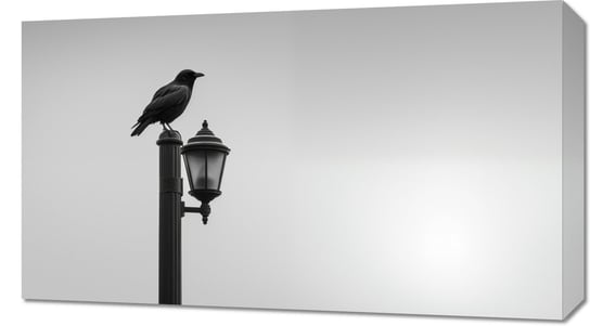 Obraz 70x40cm Samotny Postój Kruka Inna marka