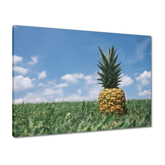 Obraz 70x50 Ananasowy pejzaż ZeSmakiem