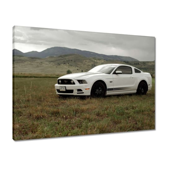 Obraz 70x50 Biały Ford Mustang ZeSmakiem
