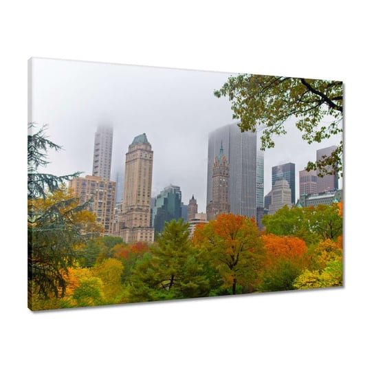Obraz 70x50 Central Park New York USA ZeSmakiem
