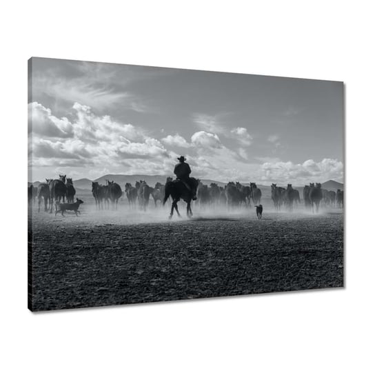 Obraz 70x50 CowBoy na koniu Konie ZeSmakiem