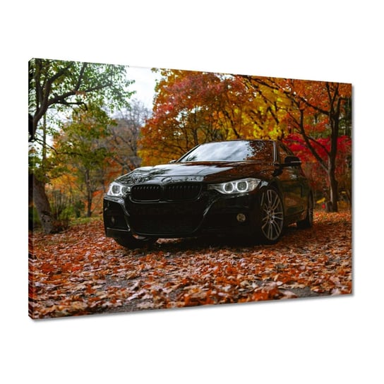 Obraz 70x50 Czarne BMW Jesień ZeSmakiem