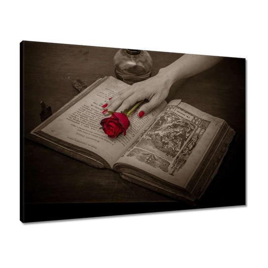 Obraz 70x50 Czerwona róża na księdze ZeSmakiem
