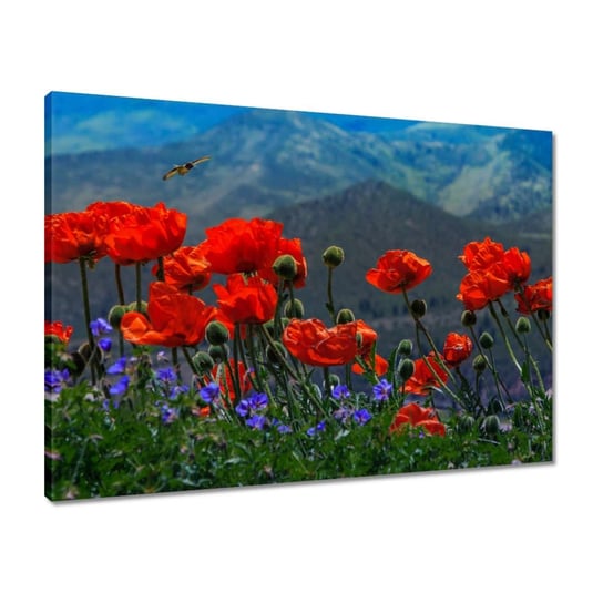 Obraz 70x50 Czerwone maki Kwiaty ZeSmakiem