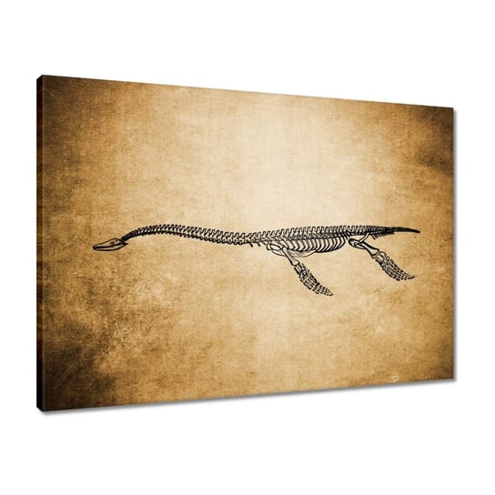 Obraz 70x50 Dinozaur Prehistoria Dino ZeSmakiem