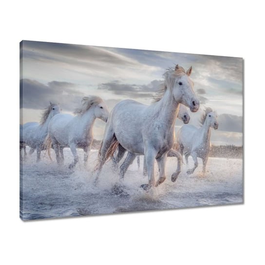 Obraz 70x50 Dzikie konie Wild Horses ZeSmakiem