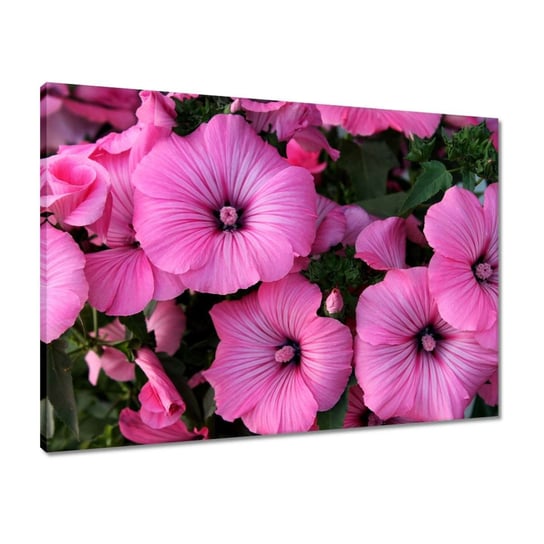 Obraz 70x50 Fioletowe kwiatki ZeSmakiem