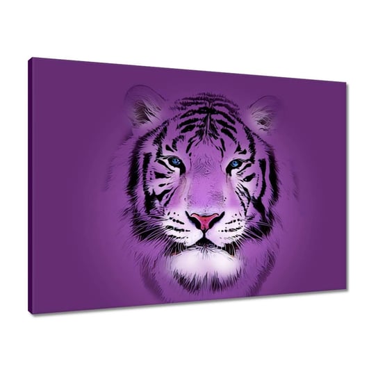 Obraz 70x50 Fioletowy obrazek tygrysa ZeSmakiem