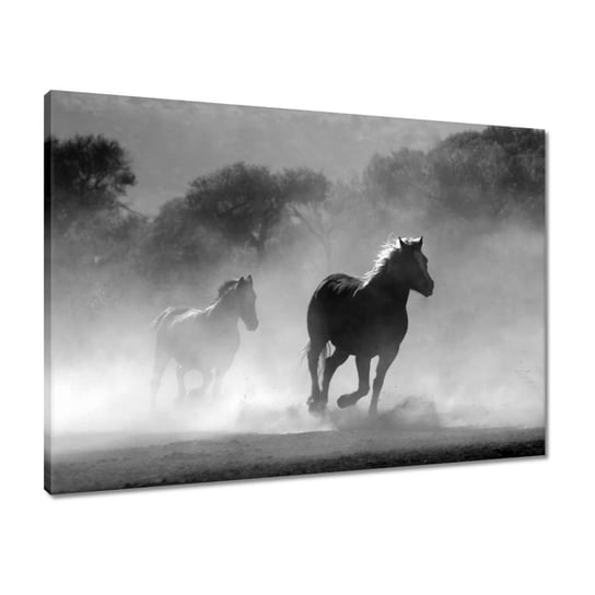 Obraz 70x50 Galopujące konie ZeSmakiem