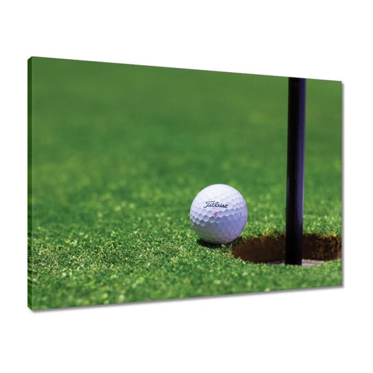 Obraz 70x50 Golf Gra w golfa Piłeczka ZeSmakiem