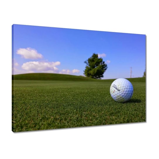 Obraz 70x50 Gra w golfa Piłka na polu ZeSmakiem