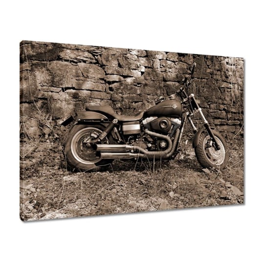 Obraz 70x50 Harley Davidson Motocykl ZeSmakiem