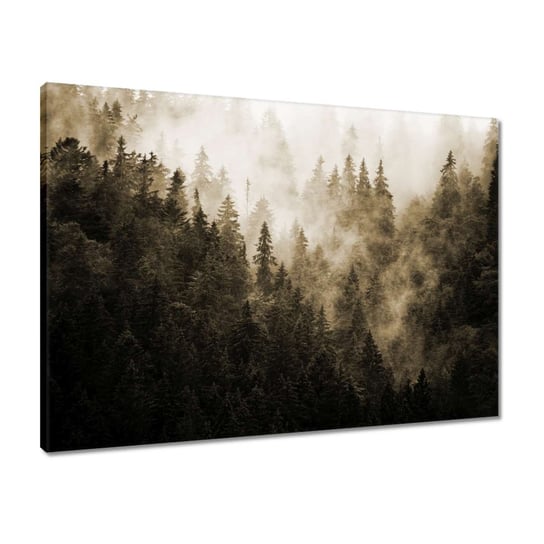Obraz 70x50 Krajobraz Sepia Góry Mgła ZeSmakiem