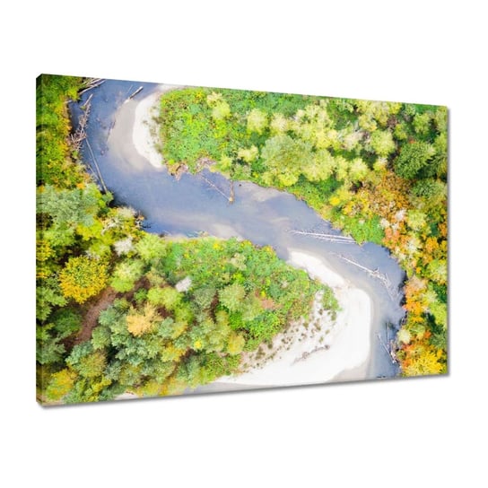 Obraz 70x50 Kręta rzeka Las Jesień ZeSmakiem