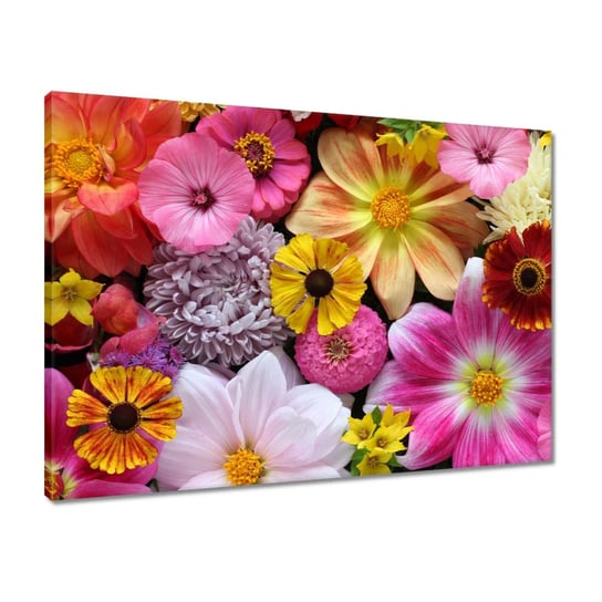 Obraz 70x50 Kwiatowa kompozycja Kwiat ZeSmakiem