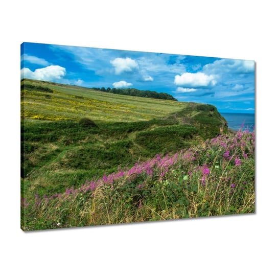 Obraz 70x50 Kwiecista łąka nad morzem ZeSmakiem