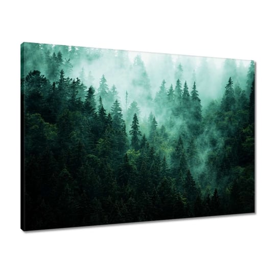 Obraz 70x50 Las Mgła Krajobraz Podróż ZeSmakiem